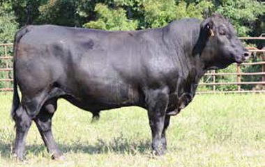 Lot 12 - 913U TG 5137D ET